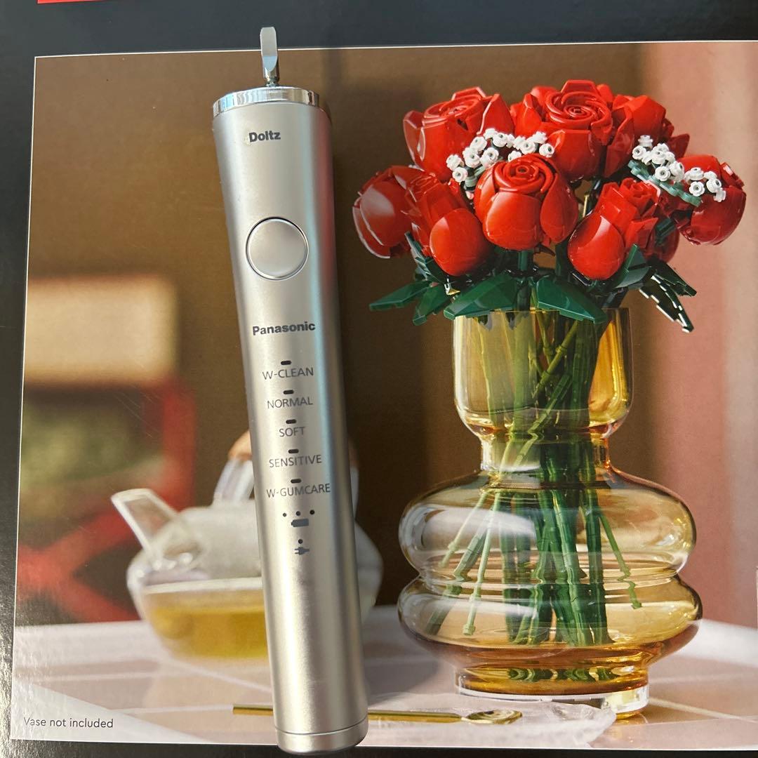 美品⭐︎Panasonic EW-CDP55-シルバー　音波振動歯ブラシ　ドルツ