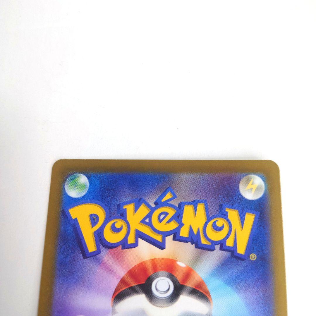 【402】キハダ 　sar SAR SV1a キハダ　【美品】