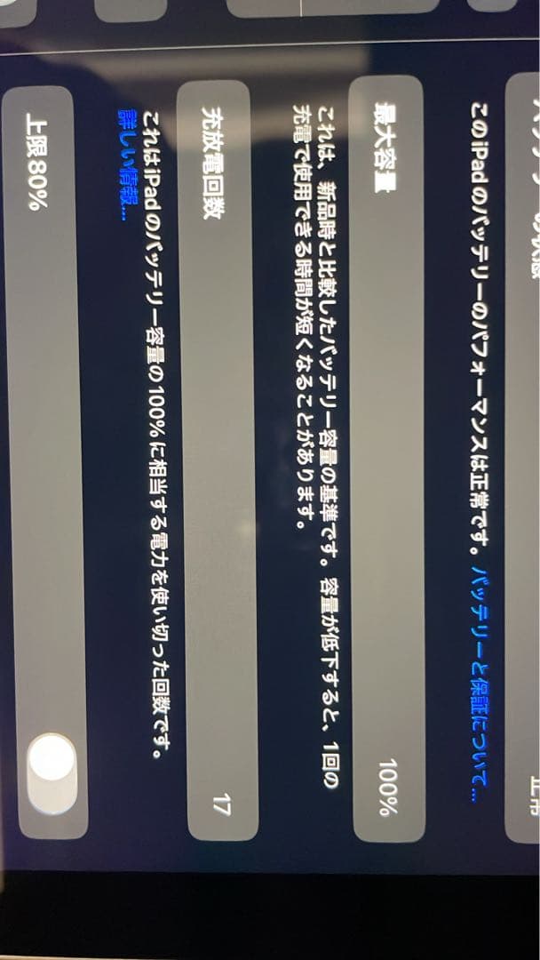 Apple iPadA16 本体