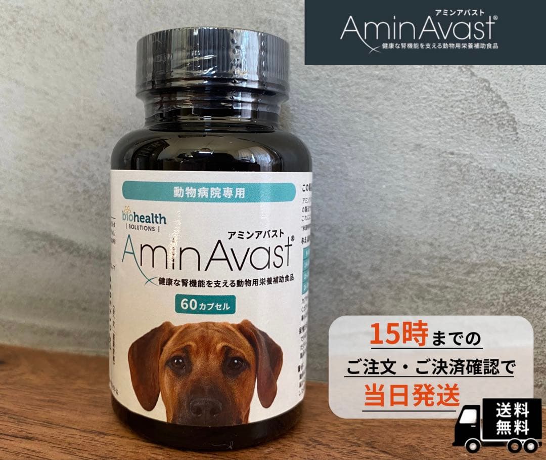 アミンアバスト　中・大型犬用規格（1,000mg）60カプセル