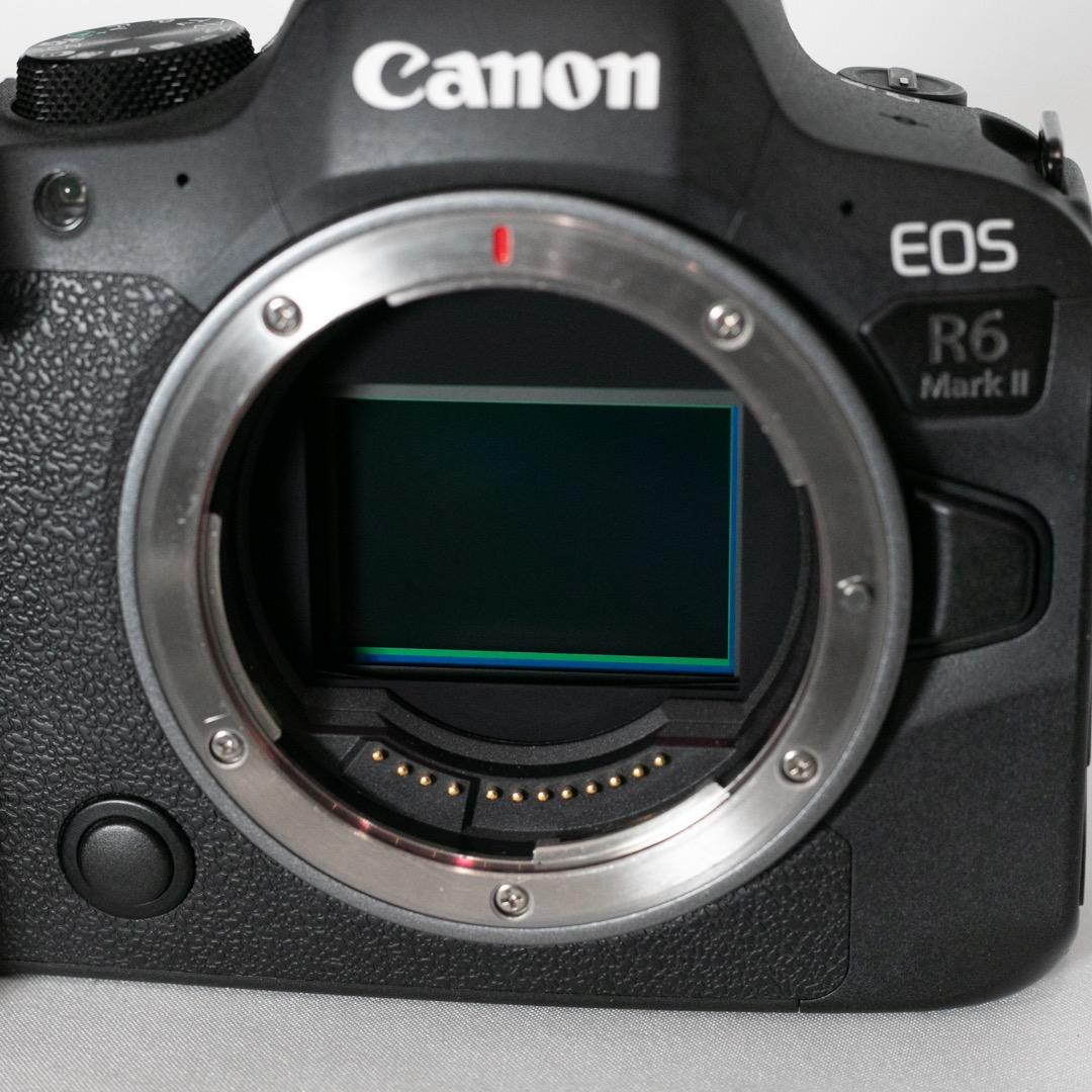 キヤノン EOS R6 MarkII リグ2種セット 付属品あり