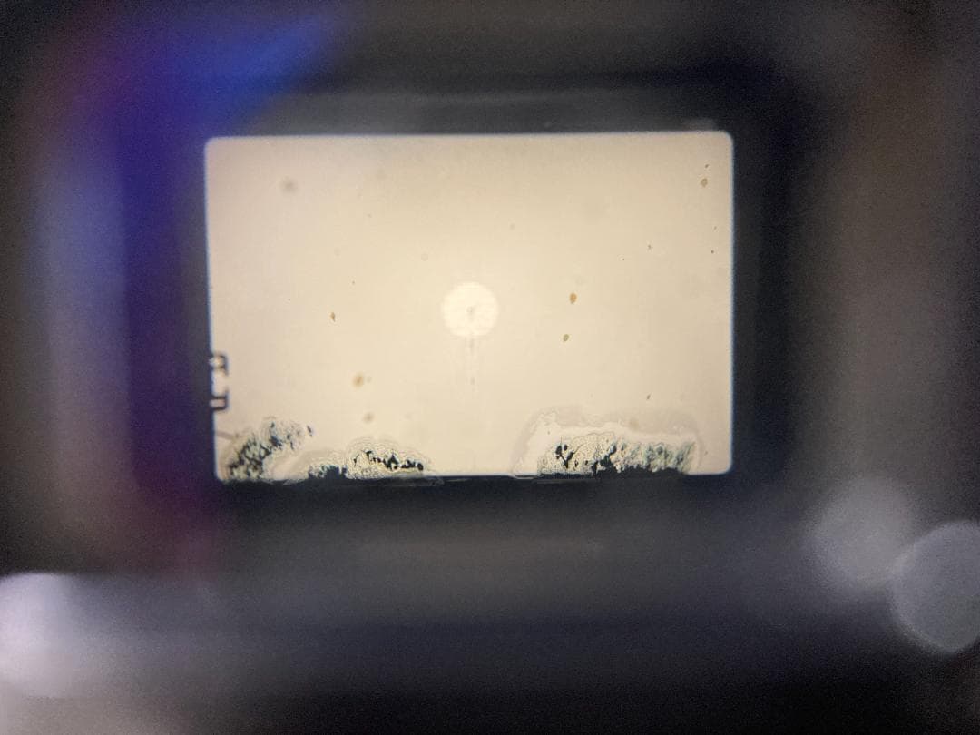 ☆完全動作☆外観美品☆オリンパス OM-1 50mm F1.4 ＃149