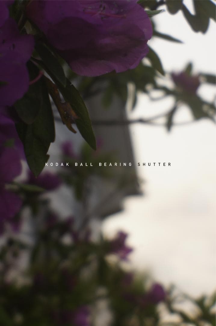 M42改造レンズ ベス単 KODAK BALL BEARING SHUTTER