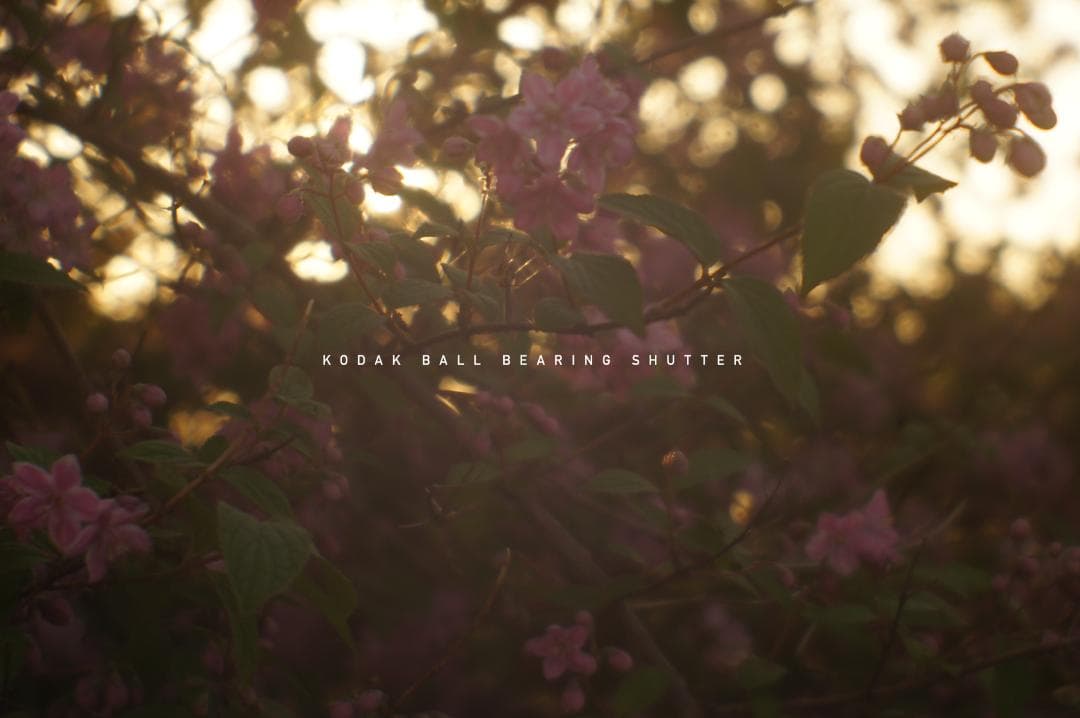 M42改造レンズ ベス単 KODAK BALL BEARING SHUTTER