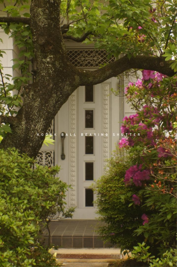 M42改造レンズ ベス単 KODAK BALL BEARING SHUTTER