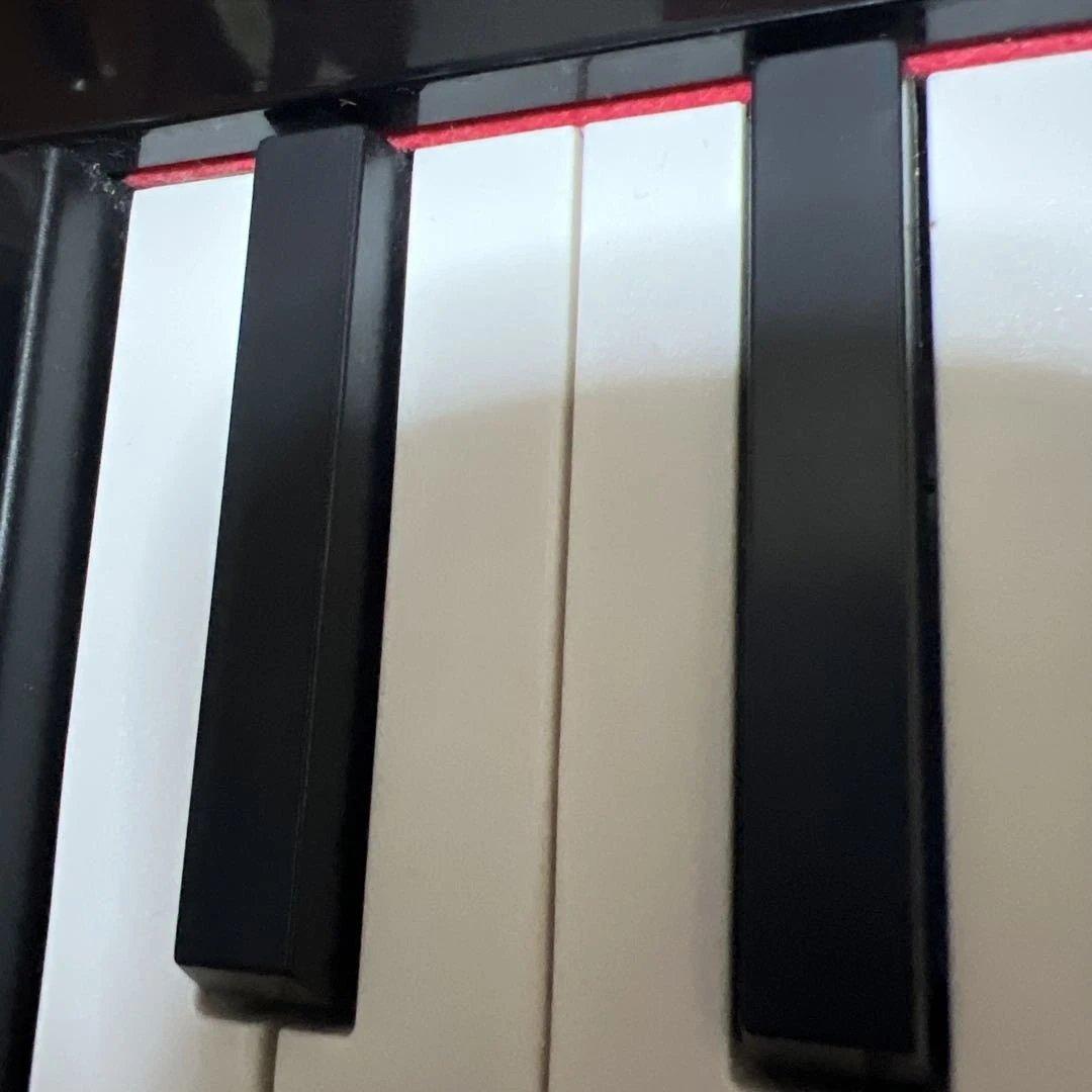 TORTE トルテ 電子ピアノ 折りたたみ式 88鍵盤 フルスケール