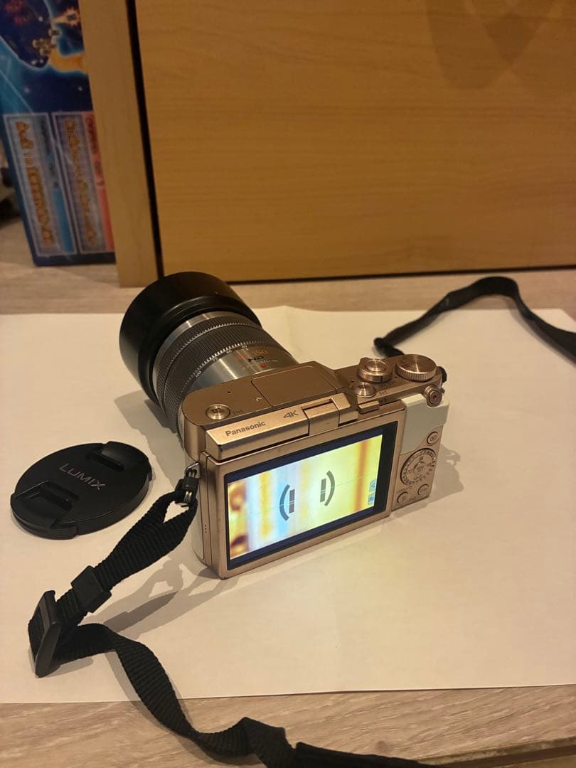 Panasonic LUMIX ミラーレス一眼カメラ DC-GF10W