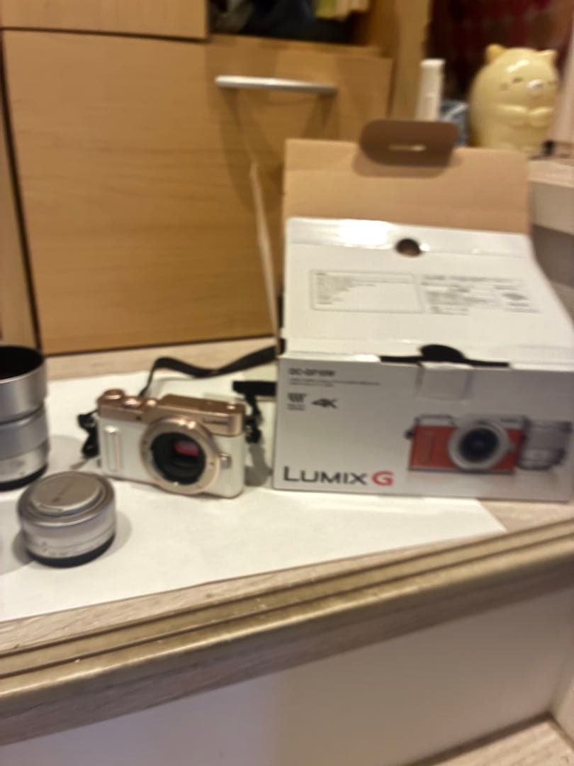 Panasonic LUMIX ミラーレス一眼カメラ DC-GF10W
