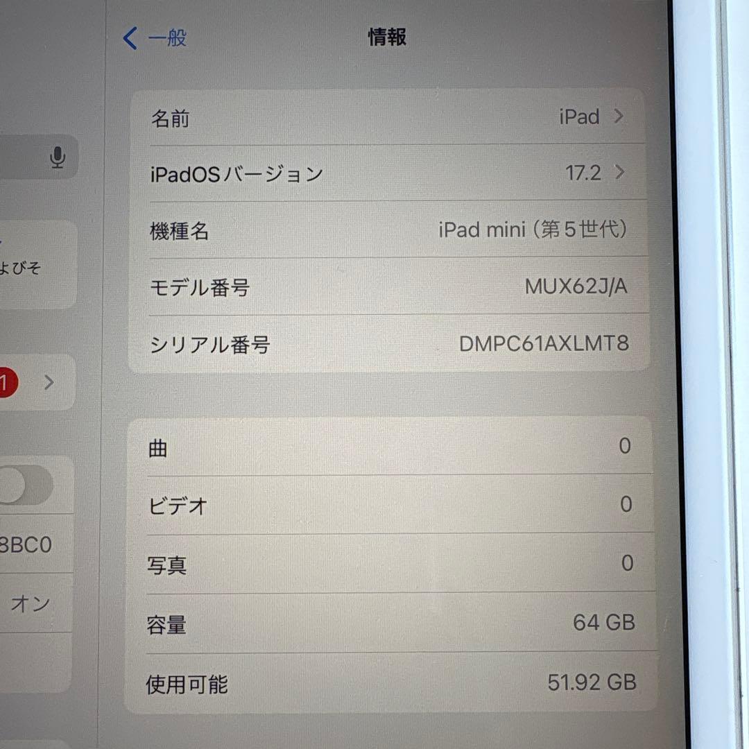 【特価】iPad mini5 セルラー 64GB SIMフリー (57)
