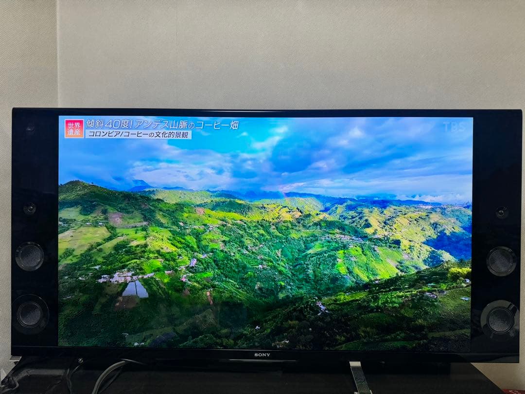 SONY KD-55X9200B とリモコン