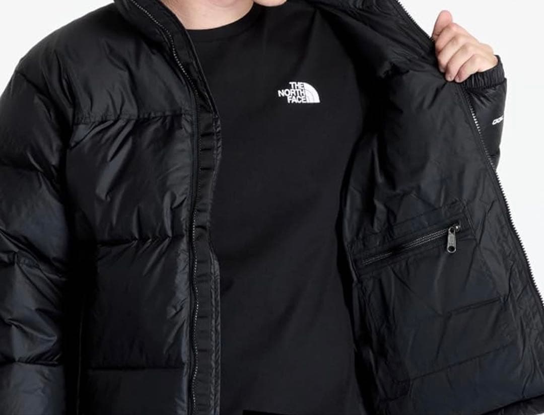 THE NORTH FACE ダウンジャケット ヌプシ 700 Lサイズ