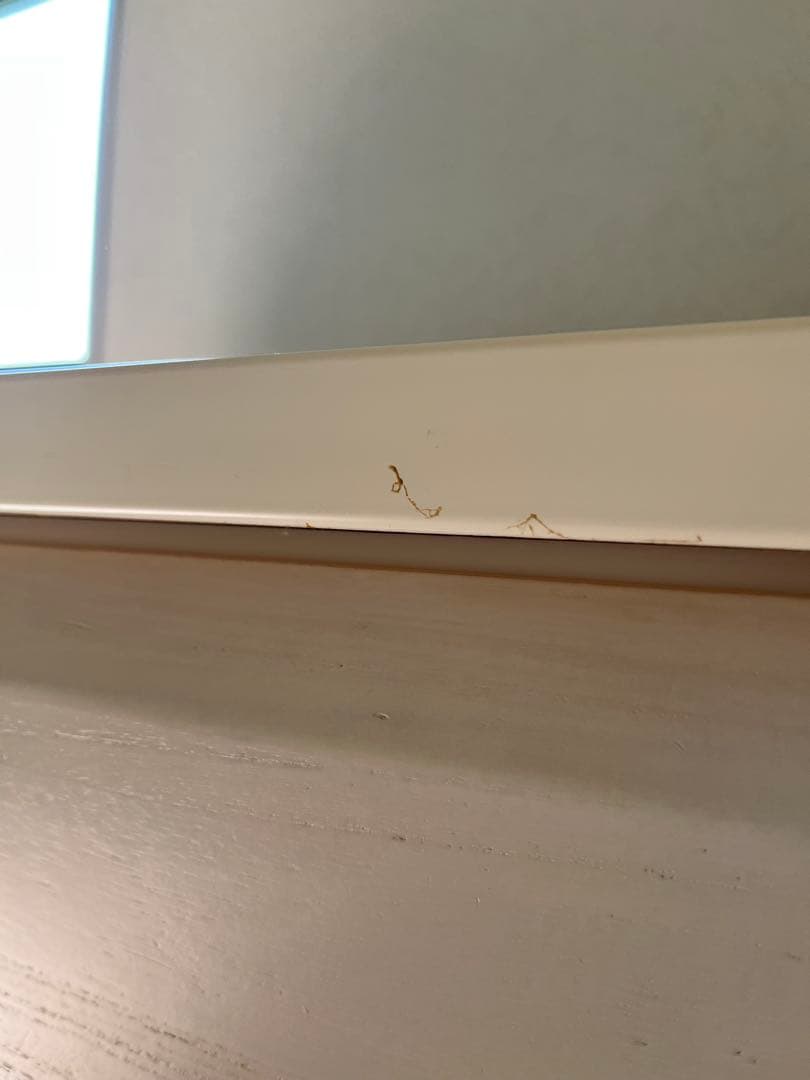 【5/21まで】チェスト