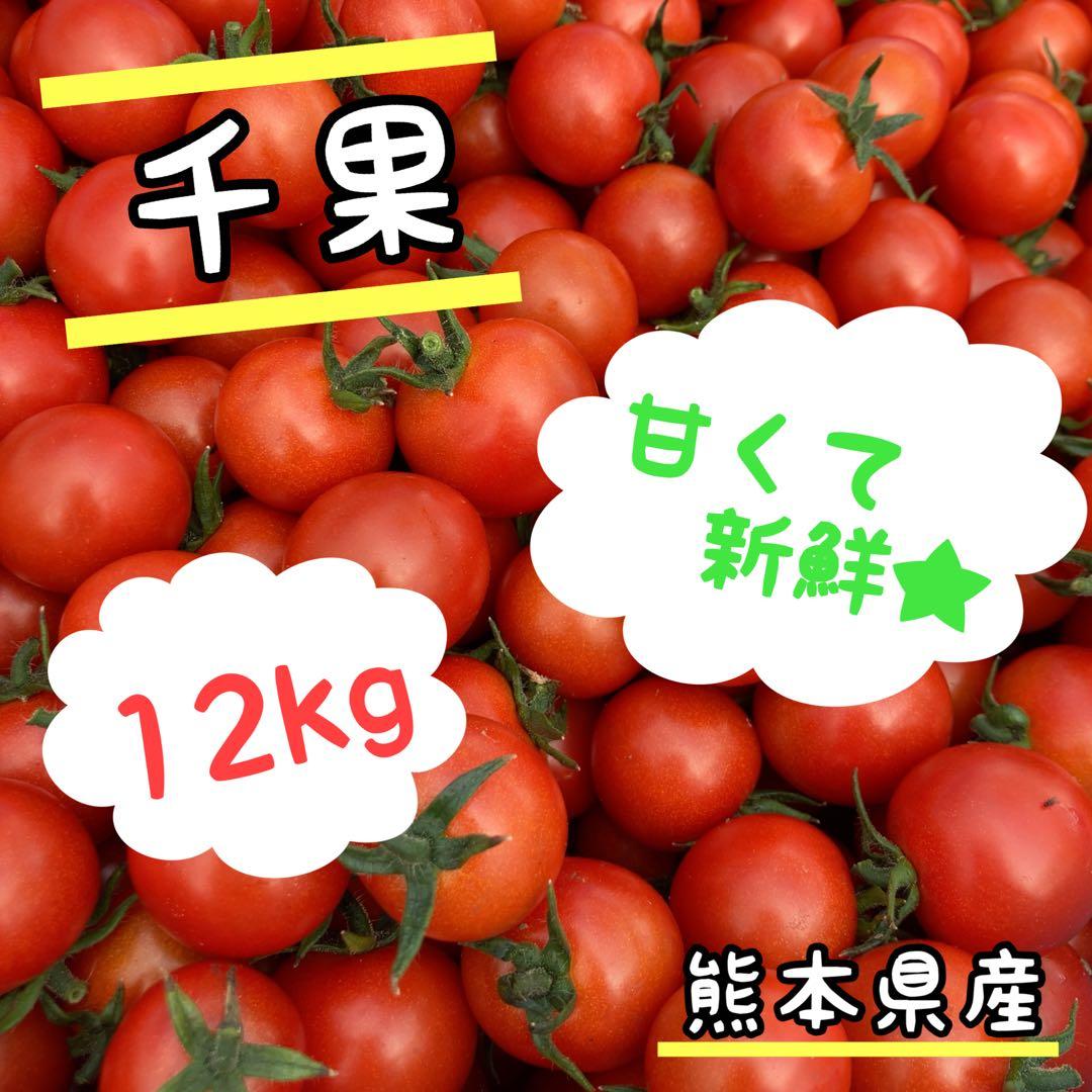 ミニトマト　12kg⭐️お買い得