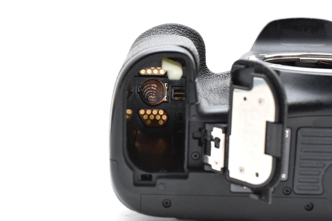 Canon EOS 7D MarkⅡ / EF 75-300mm F4-5.6