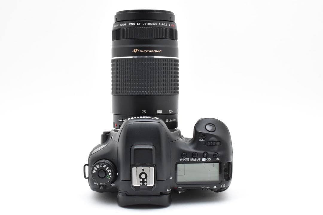 Canon EOS 7D MarkⅡ / EF 75-300mm F4-5.6