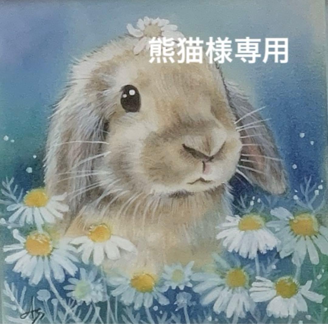 《熊猫》バニーセレクションプロ ネザーランドドワーフ1kg×3袋他追加有