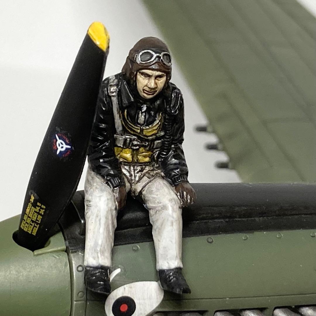 ムスタング/P-40E Warhawk (完成品)1/48 ハセガワ