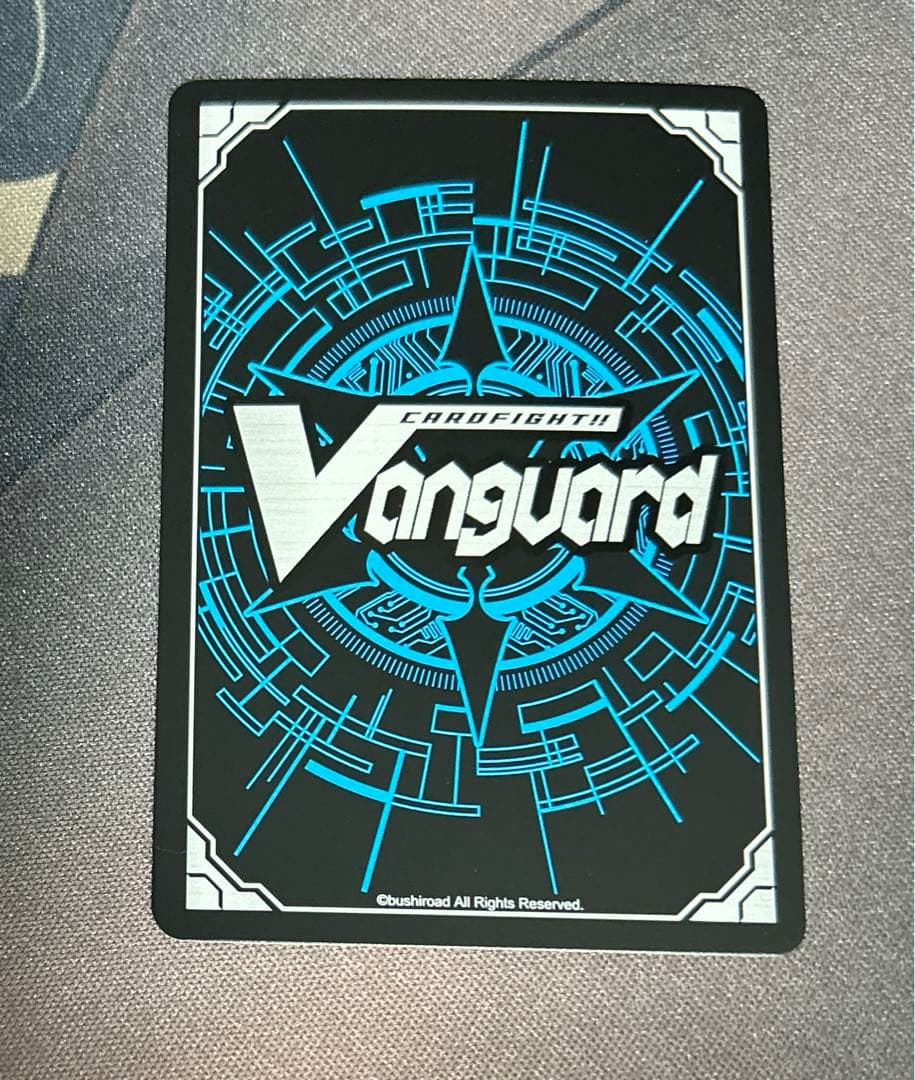 スノウスキップパルヴィTGR+ ヴァンガード