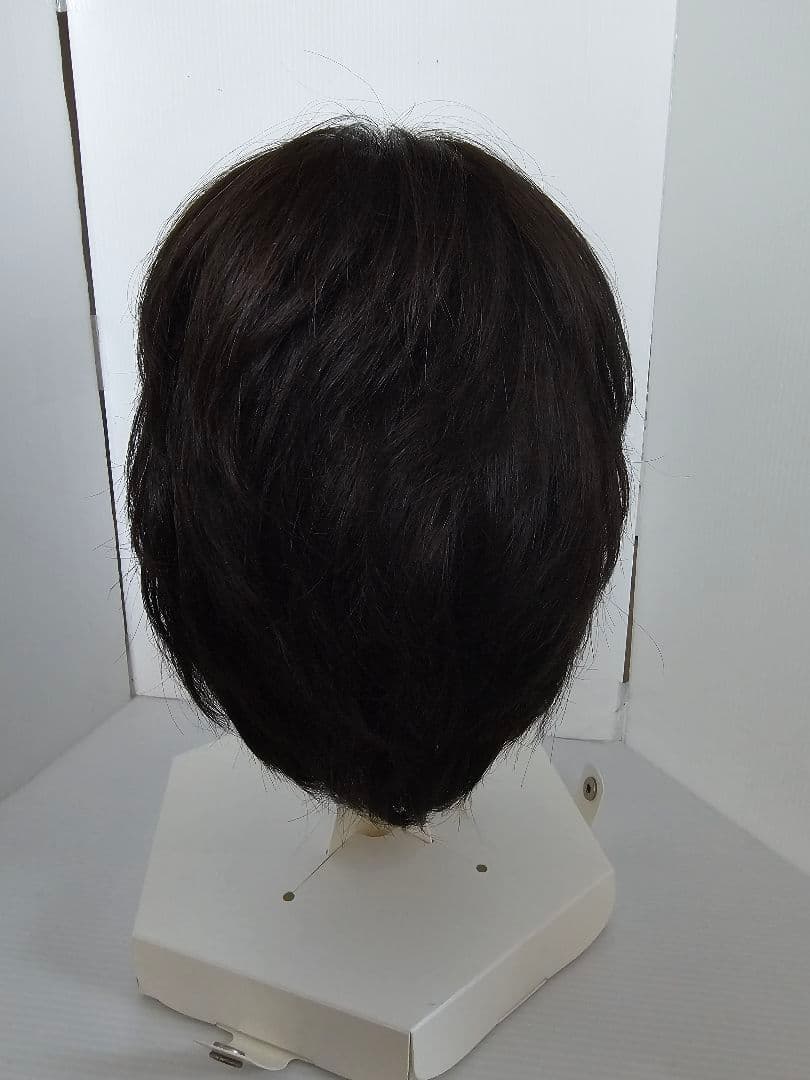 スヴェンソン 高級医療用ウイッグ　レディースウィッグ 人毛　ケース有