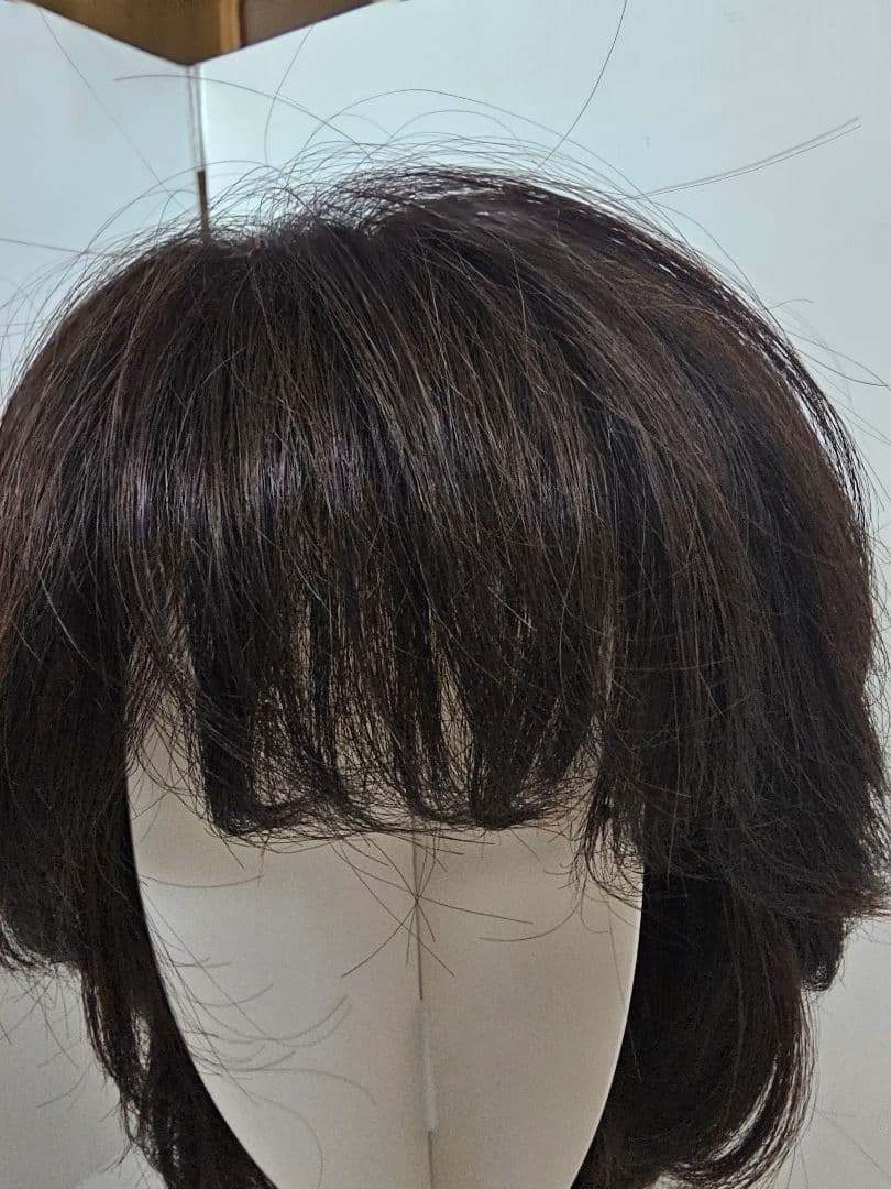 スヴェンソン 高級医療用ウイッグ　レディースウィッグ 人毛　ケース有