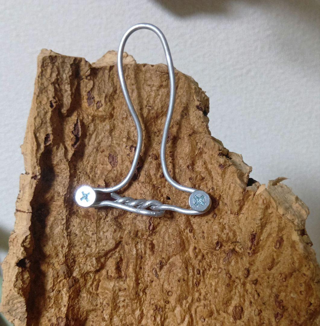 壁掛けビカクシダ　親株　サイズ大　ネザーランド　コルク付け　コウモリラン