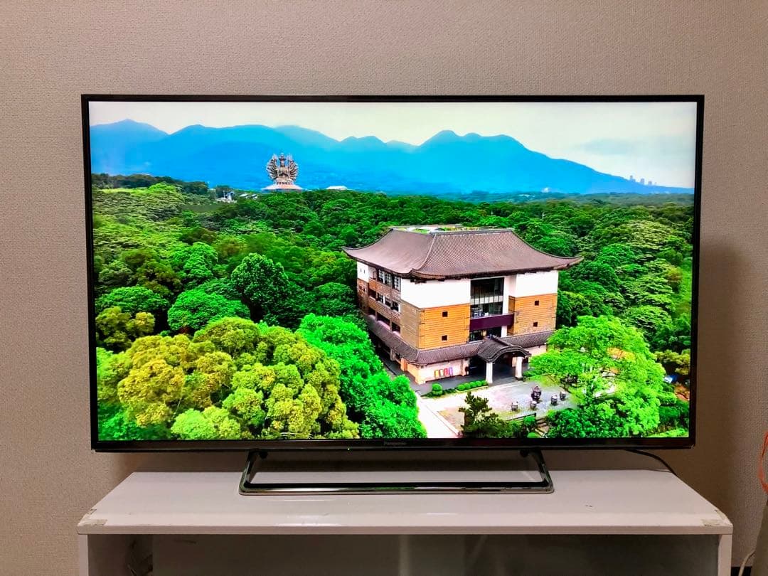 Panasonic プレミアム4K液晶テレビ　TH-49CX800 49インチ
