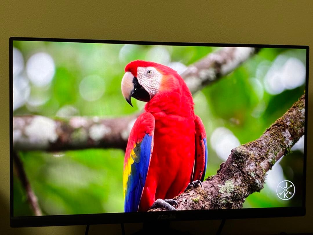 ASUS VG249Q1A ゲーミングモニター