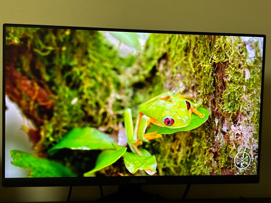 ASUS VG249Q1A ゲーミングモニター