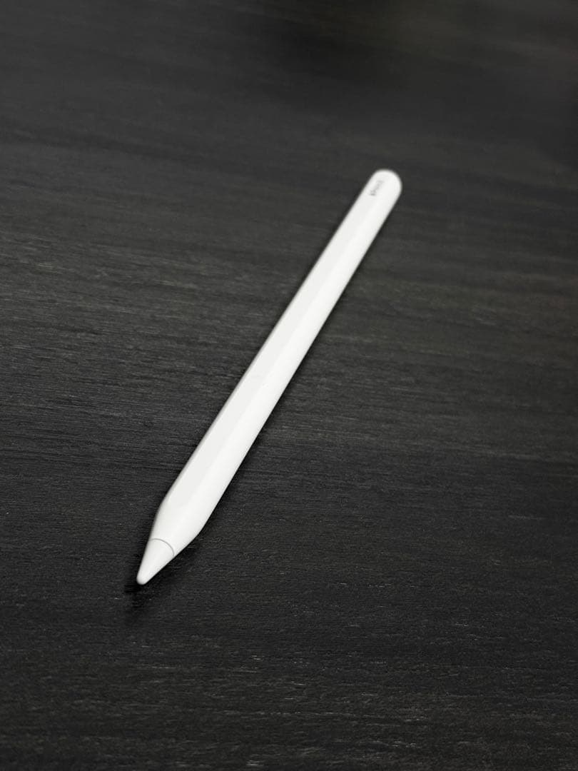 極美品　2024年1月購入　Apple Pencil 第2世代　MU8F2J/A