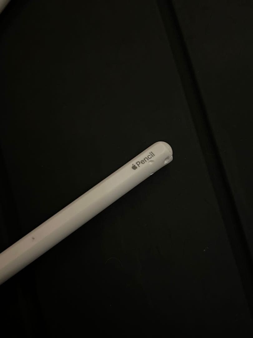 iPad Pro 12.9 1TB SIMフリー　スペースグレイ　第5世代