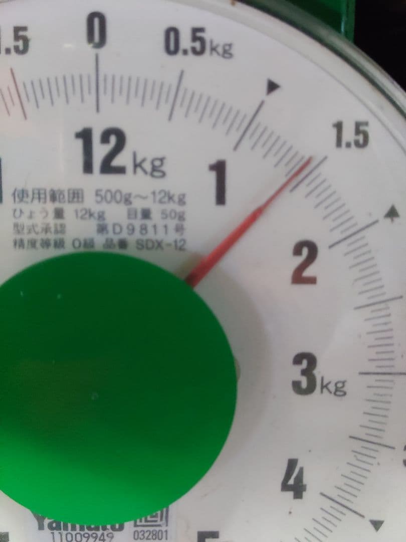 松茸　国産　岐阜県産