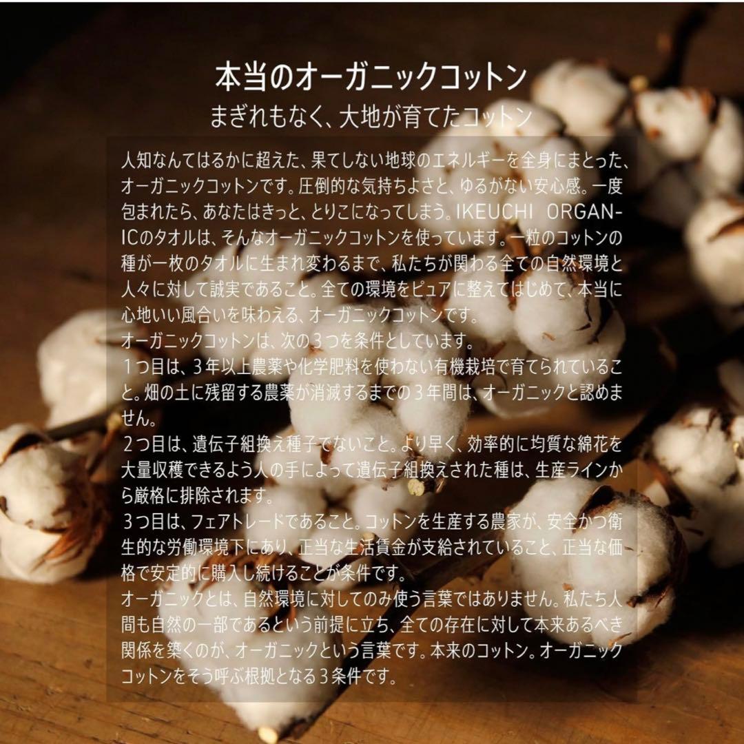 ★¥23,100 オーガニック732 タオルケット シングル ホワイト ★