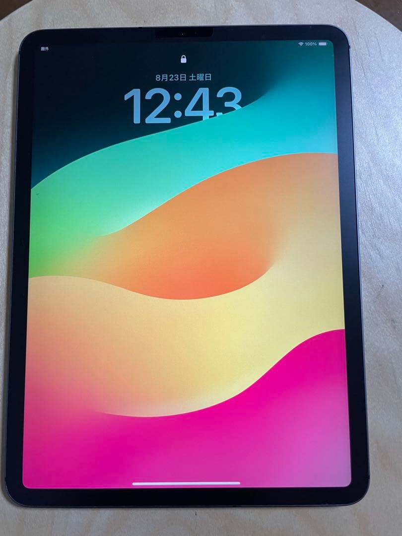 【アップル】iPad Pro11インチ 第1世代 256GB セルラー