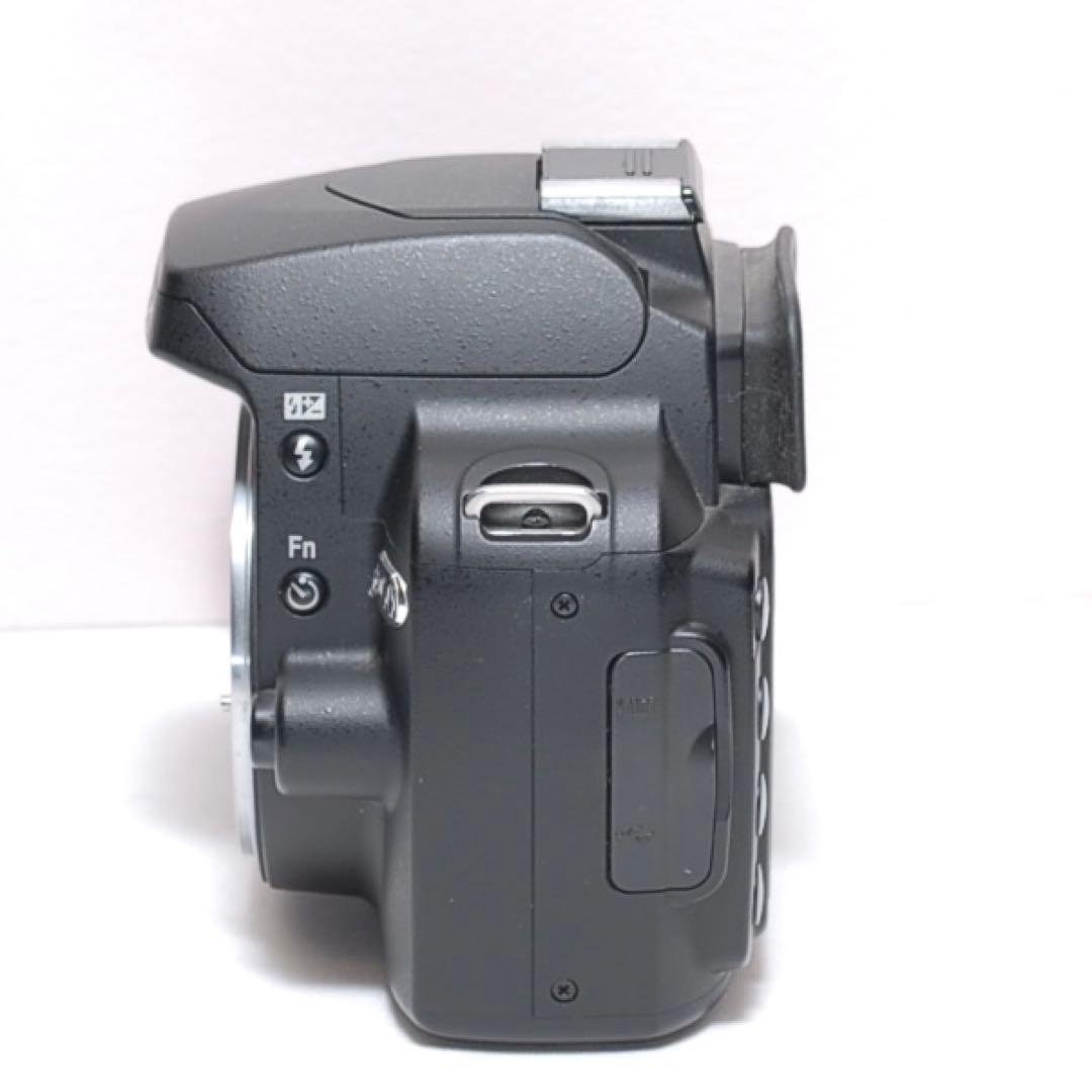 ✨初心者様向け✨Nikon D60✨ シングルレンズ✨ 簡単操作✨スマホ転送✨