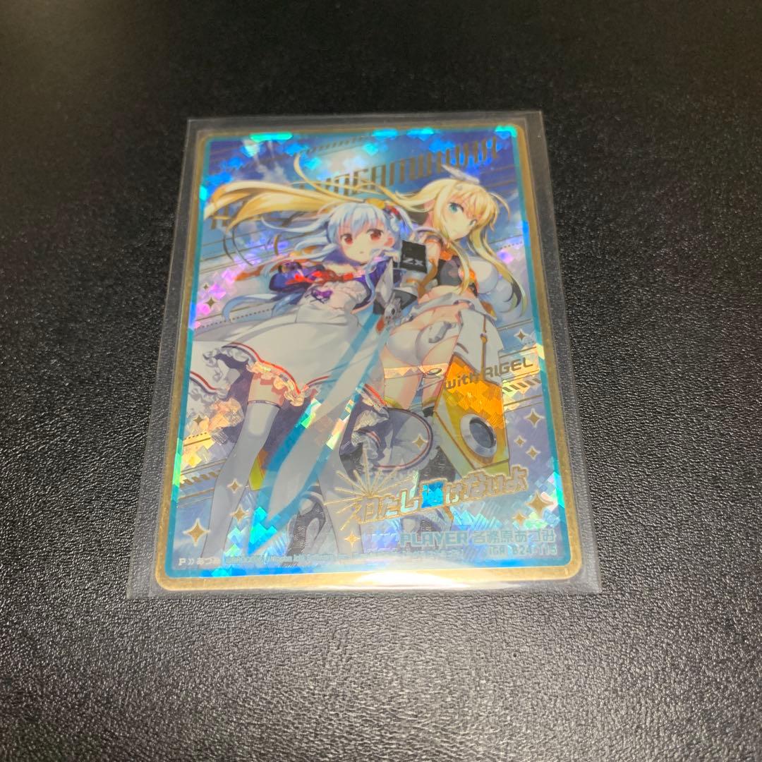 【値下げ中】Z/X B24-115[IGR]：各務原あづみ