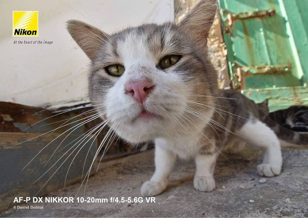 Nikon 広角ズームレンズ AF-P DX NIKKOR 10-20mm