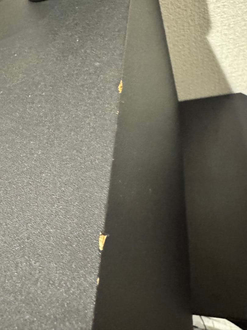 Bose Acoustimass 5 シリーズ II ウーファー スピーカー