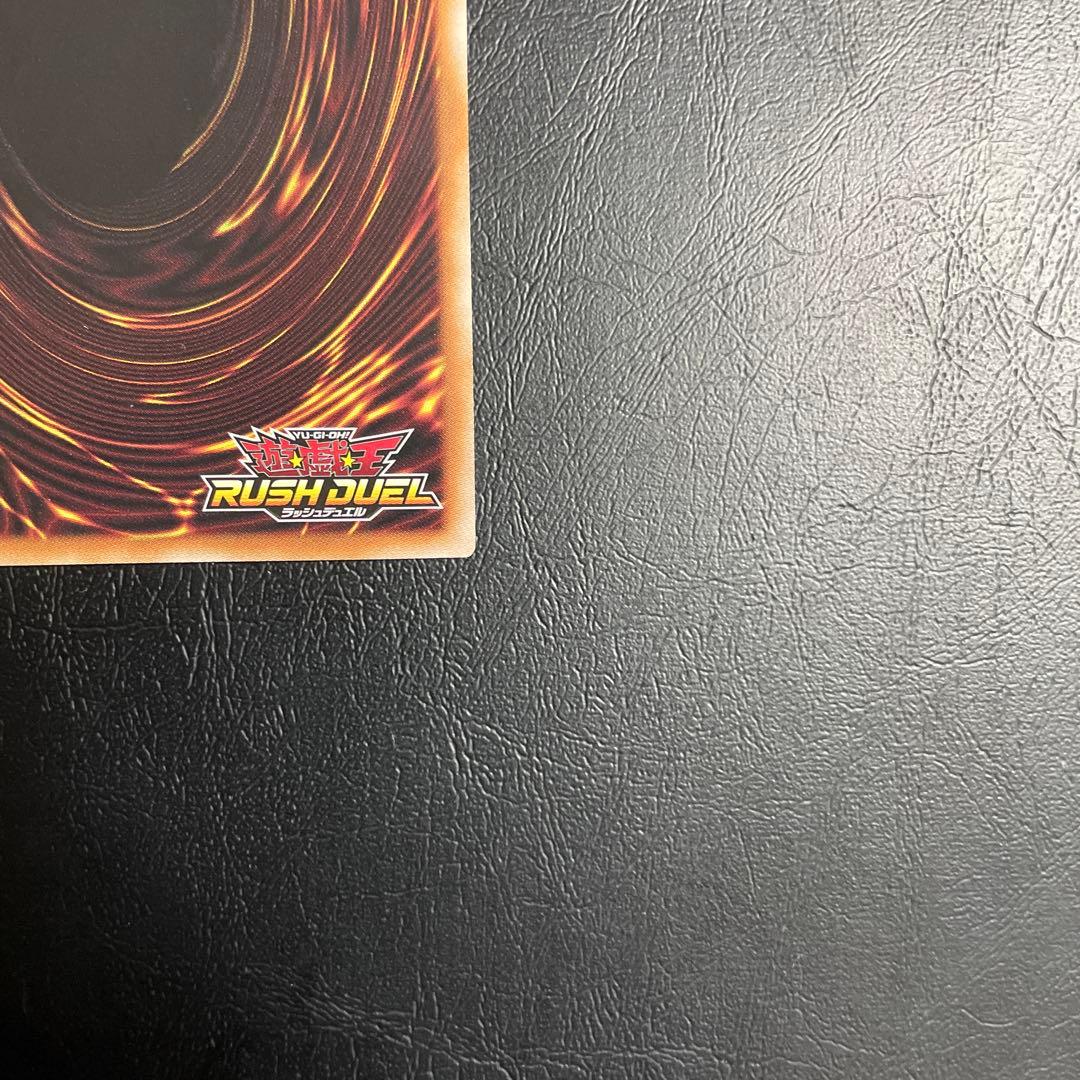 FGD オバラ ORR ２枚セット