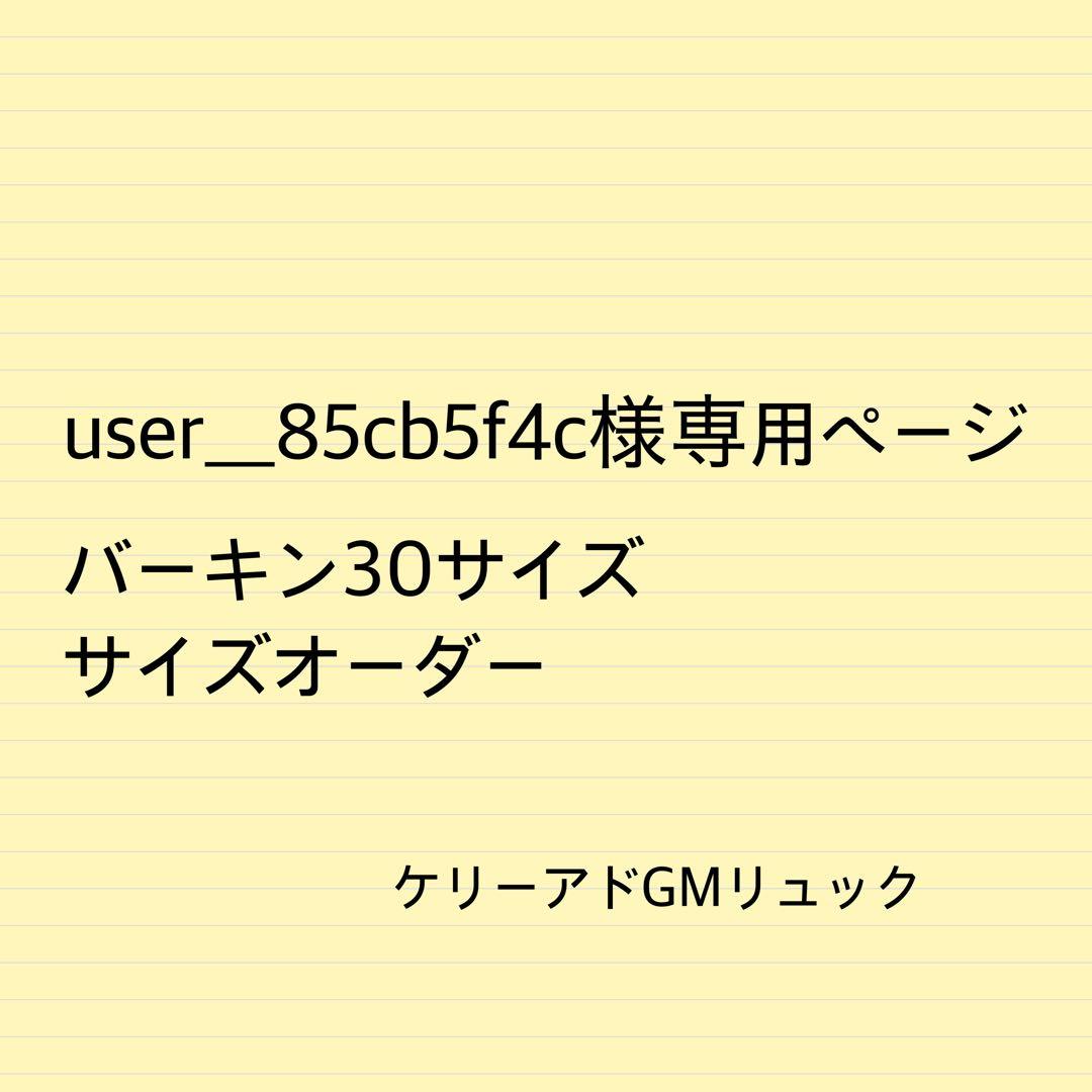 user＿85cb5f4cページB30サイズオーダーバッグインバッグ