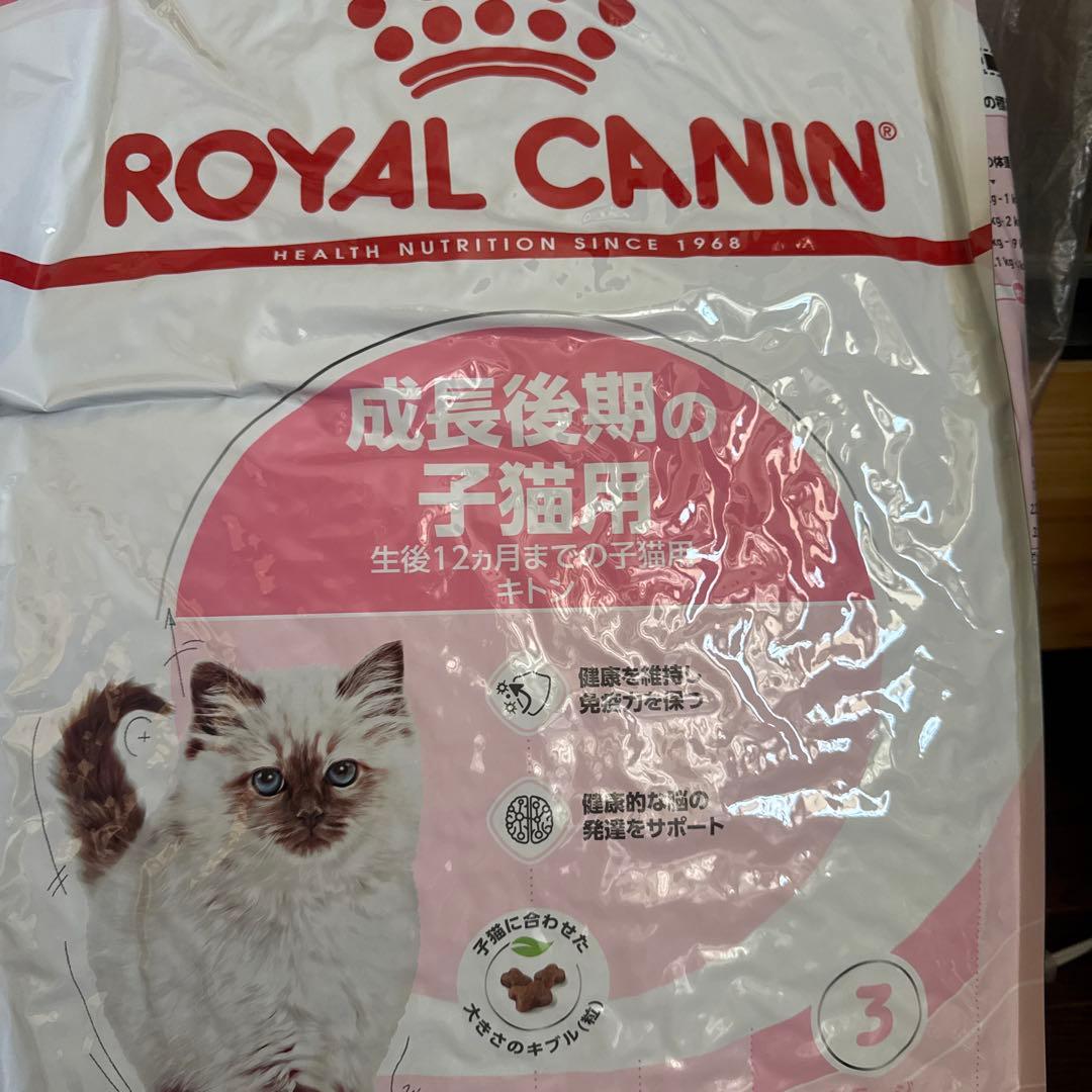 ロイヤルカナン 成長後期の子猫用 キトン 10kg 生後１２ヵ月齢まで