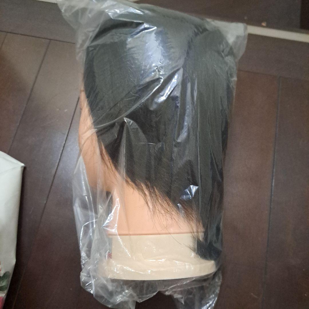 NO.805P ストレート黒ウィッグ