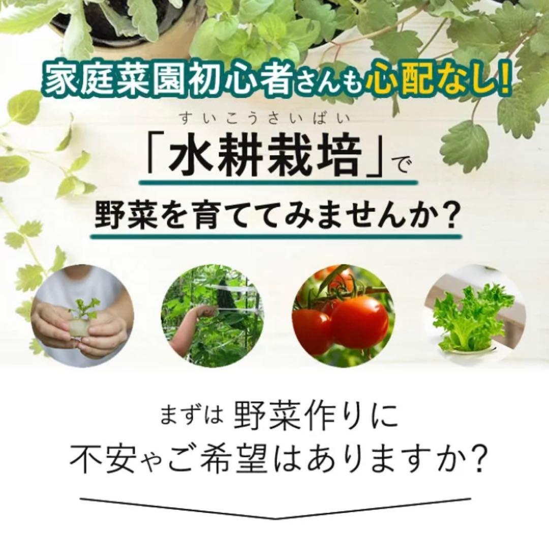 協和 ホームハイポニカ MASUCO 水耕栽培