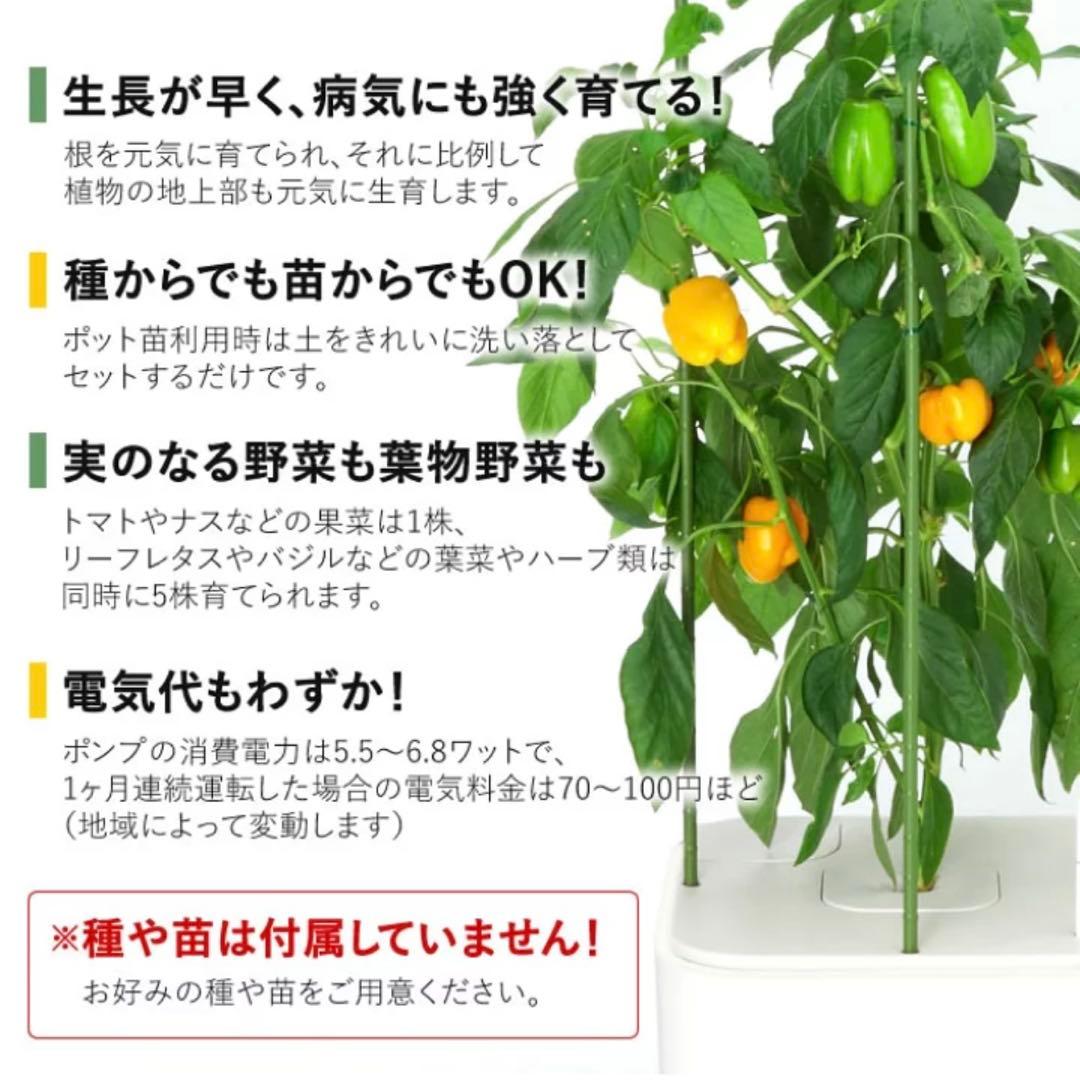 協和 ホームハイポニカ MASUCO 水耕栽培