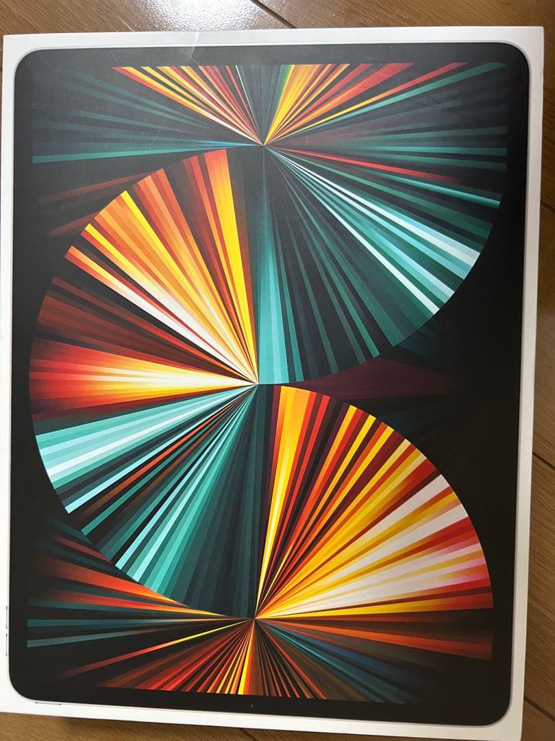 【早い者勝ち】iPad Pro（第5世代）12.9インチ セルラーモデル