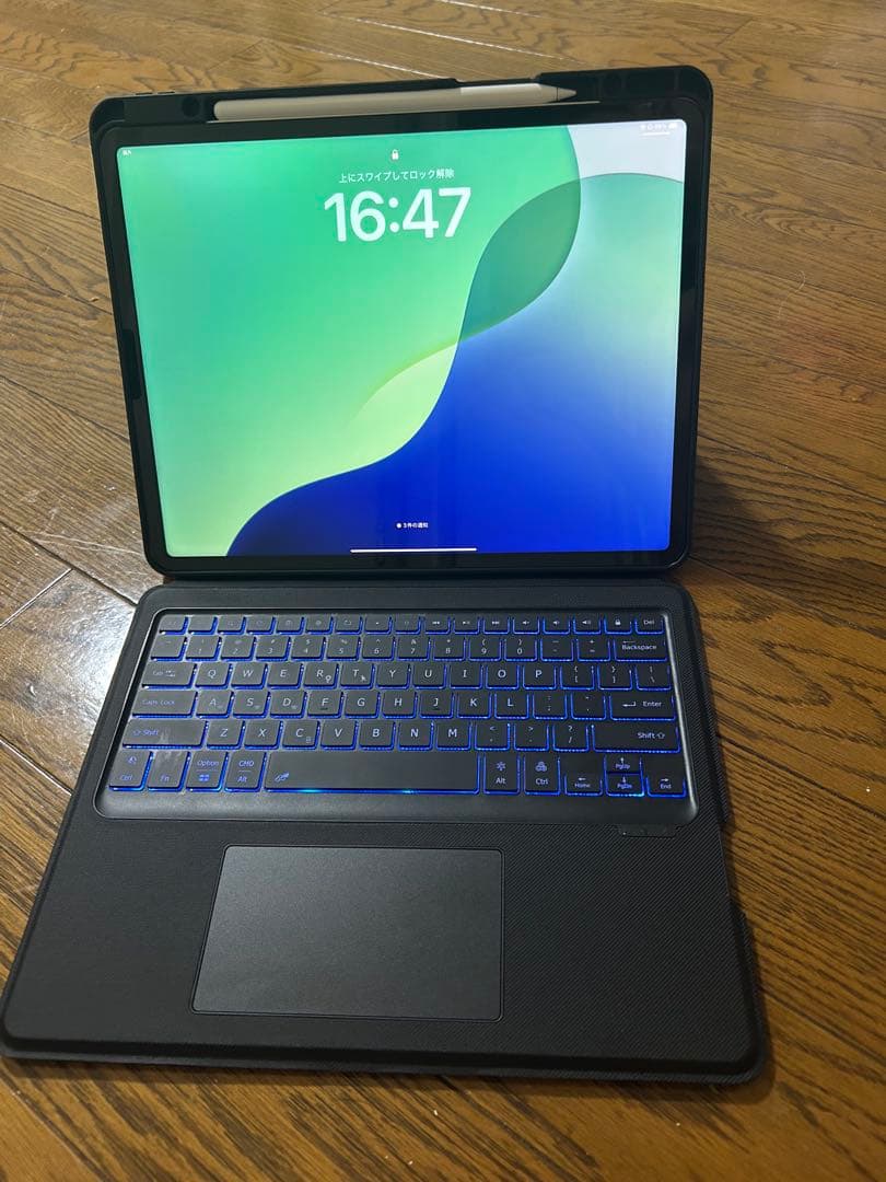 【早い者勝ち】iPad Pro（第5世代）12.9インチ セルラーモデル