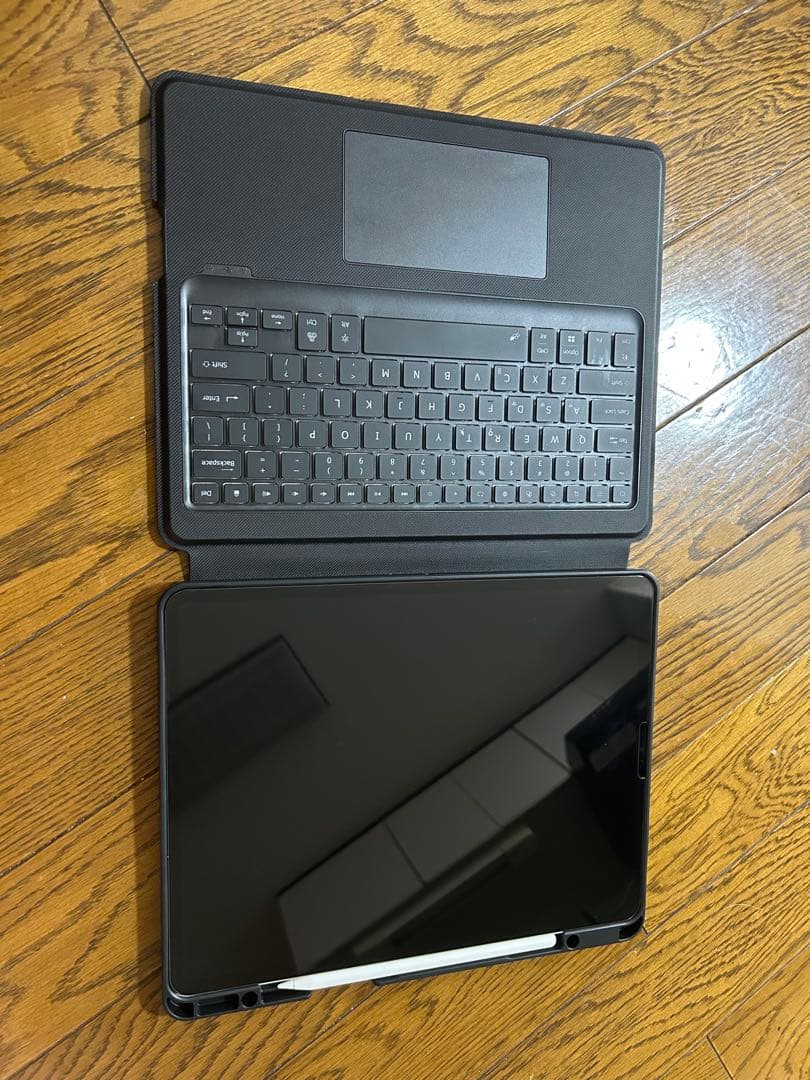 【早い者勝ち】iPad Pro（第5世代）12.9インチ セルラーモデル