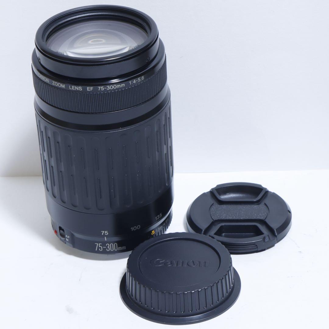 ◇大迫力300mm超望遠!!◇Canon純正 75-300mm 超望遠レンズ◇