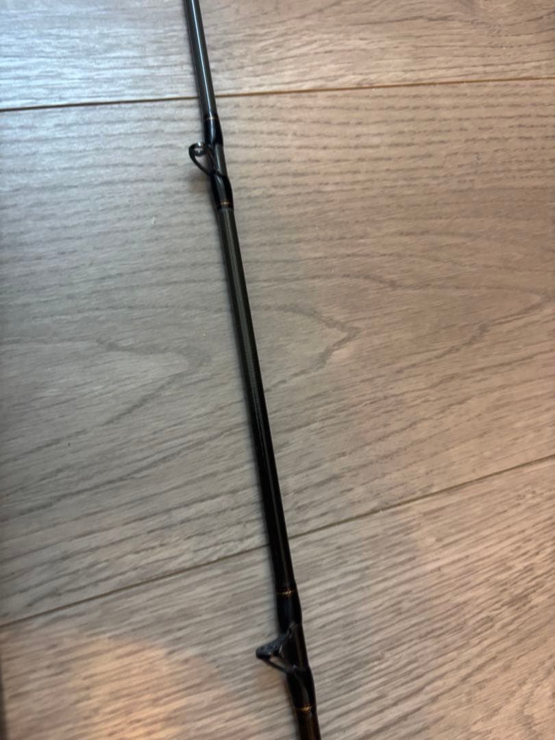 ダイワ 極鋭タチウオテンヤSP EX 178