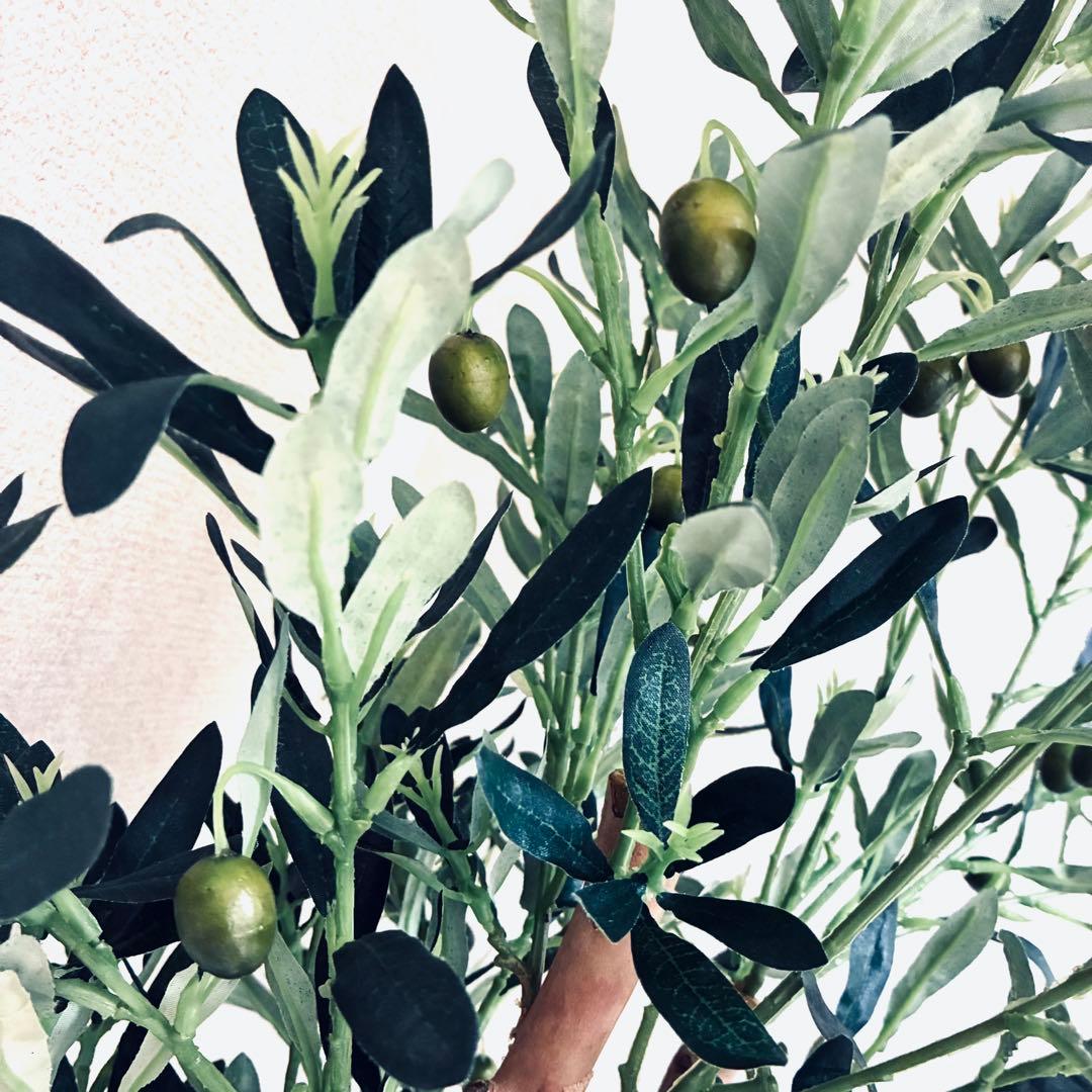 フェイクグリーン　オリーブ　人工観葉植物　光の楽園