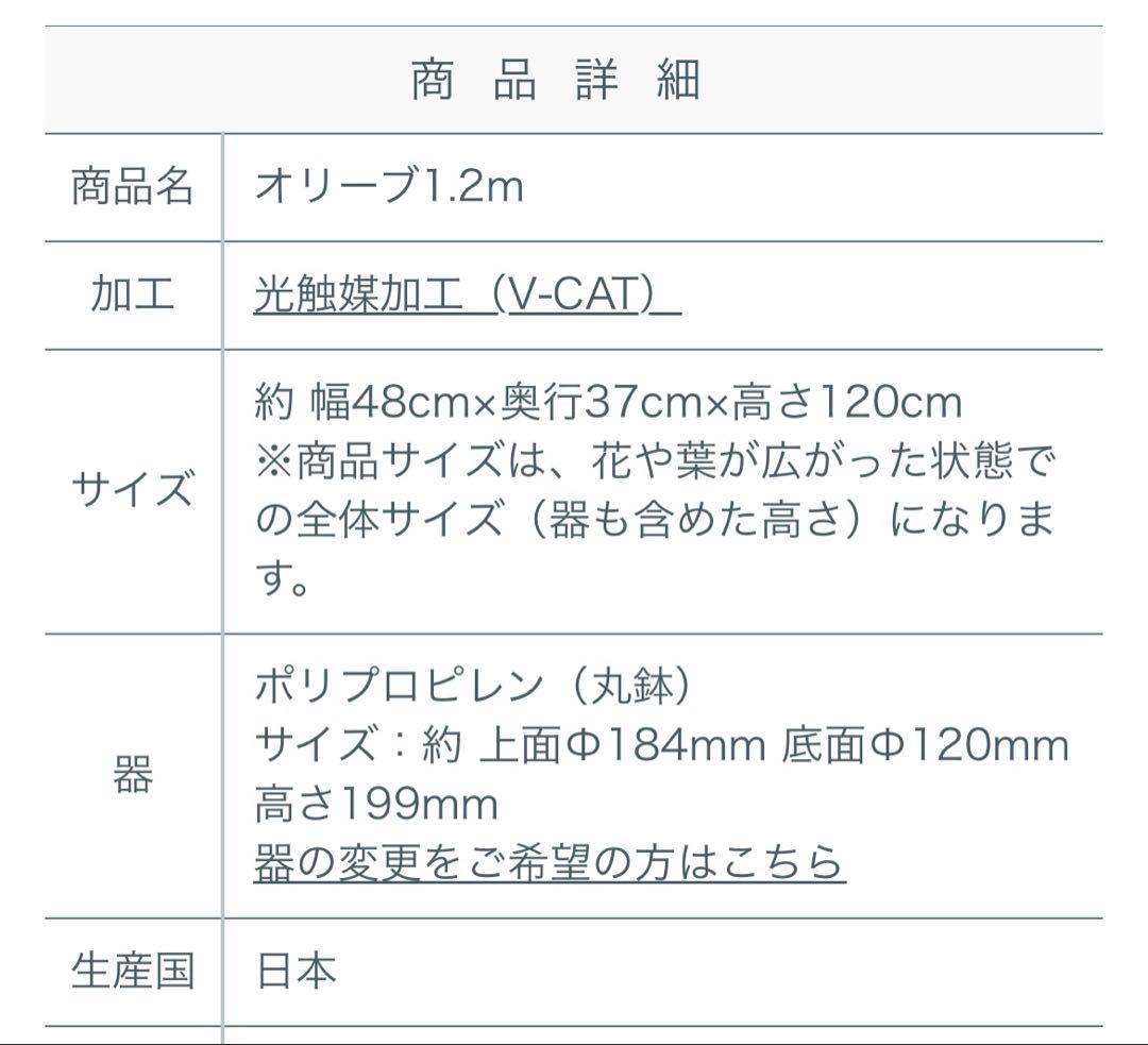フェイクグリーン　オリーブ　人工観葉植物　光の楽園